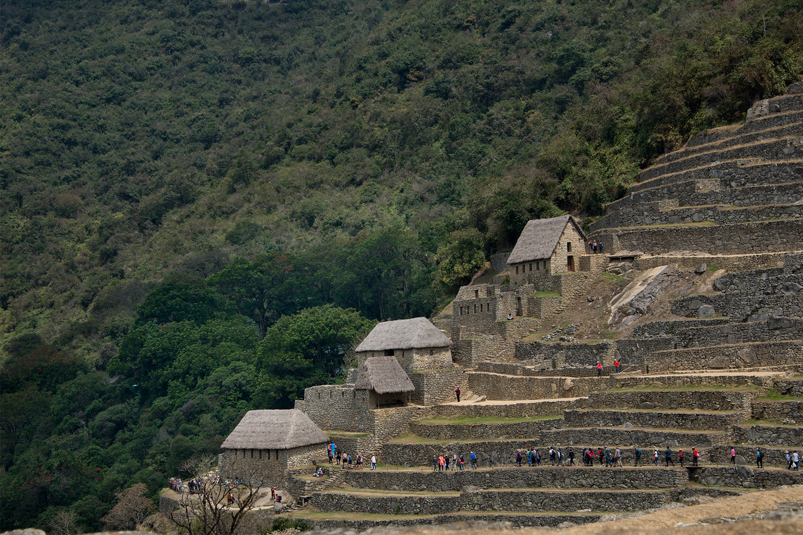 Machu Picchu Circuits: Discover Your Perfect Route