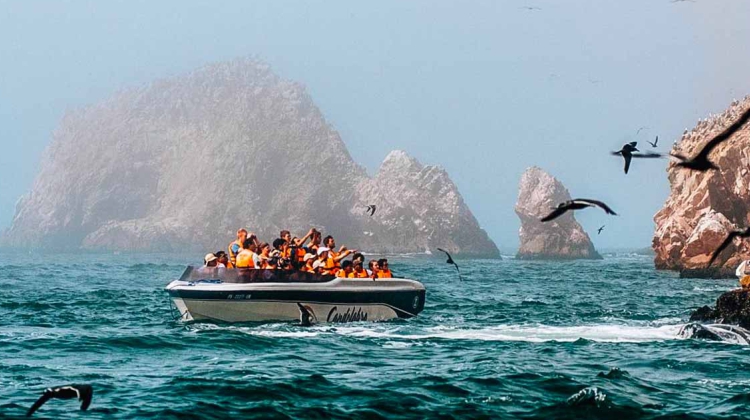 Full Day Paracas Ballestas E Ica Huacachina