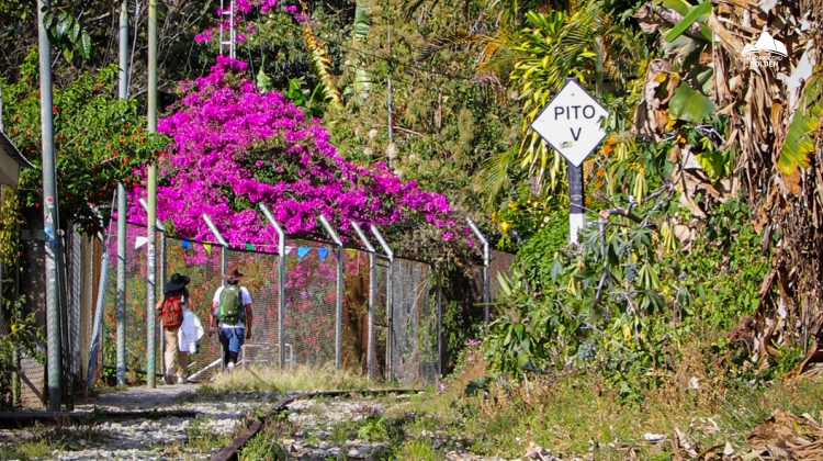 Trip To Aguas Calientes - By Car